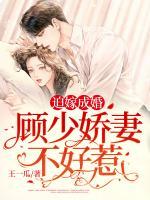迫嫁成婚:顾少娇妻不好惹