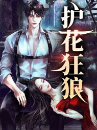 护花狂狼赵辰任佳颖
