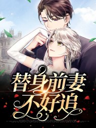 替身前妻不好追(现言)
