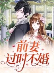 前妻过时不婚(现言)
