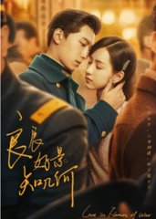 良辰好景知几何(倾城之恋)原著