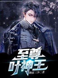 至尊叶神王叶凡林小可