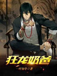 狂龙奶爸叶轩江乐兮