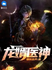 龙婿医神江枫安佳琪