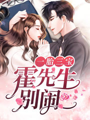 一胎三宝霍先生别闹(宠文)说
