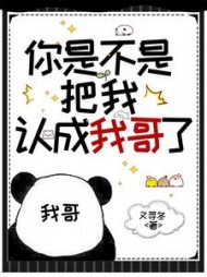 你是不是把我认成我哥了阅读