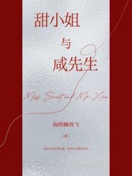 甜小姐与咸先生最新