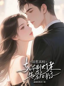 惹高枝：与体制大佬先爱后婚阅读小说阅读