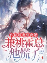 作精娇妻要离婚，兼祧霍总他慌了阅读