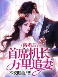 离婚后，首席机长万里追妻阅读小说阅读