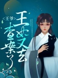 王爷，王妃又去查案了最新小说阅读