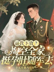 逼我下放？掏空全家挺孕肚随军去阅读