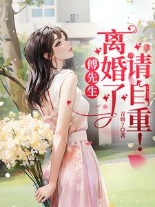 傅先生:离婚了,请自重!阅读