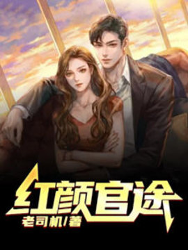 红颜官途小说阅读