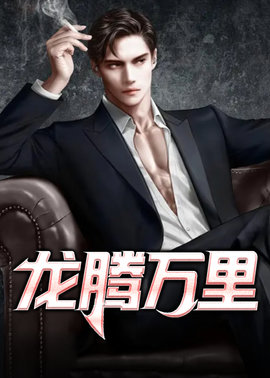 龙腾万里小说阅读