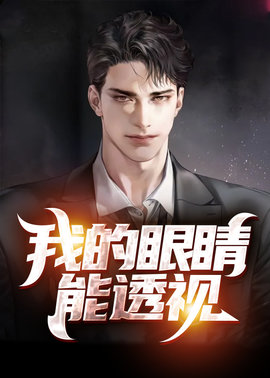 我的眼睛能透视小说阅读