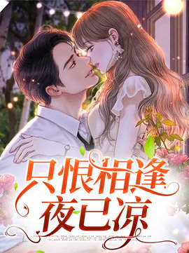 只恨相逢夜已凉小说阅读