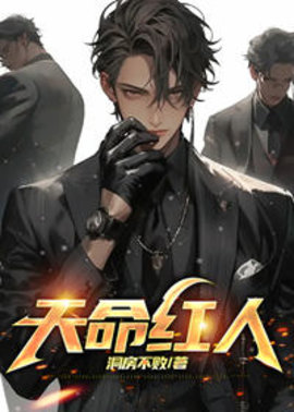 天命红人小说阅读