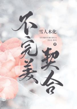 不完美契合小说阅读