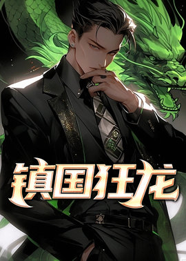 镇国狂龙小说阅读