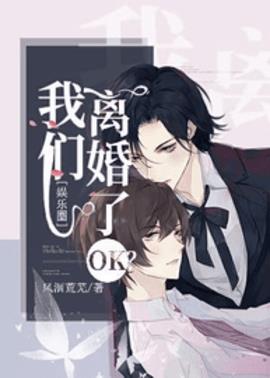 我们离婚了OK(娱乐圈)小说阅读