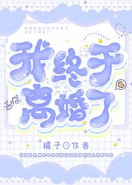 我终于离婚了小说阅读