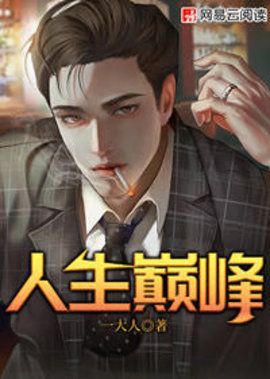 人生巅峰小说阅读