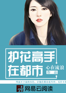 护花高手在都市小说阅读
