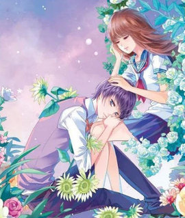 沐浅月陆泽渊小说阅读