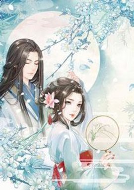 骆修叶小晚顾念