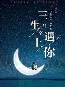 三生有幸遇见你小说阅读