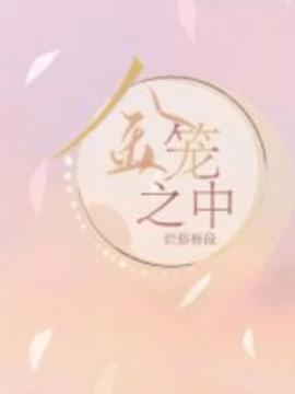 金笼之中小说阅读