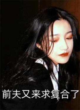 前夫又来求复合了
