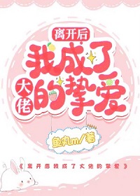 陆景寒季安凉(甜宠)