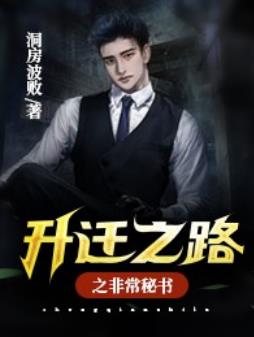 陆渐红安然升迁之路之非常秘书