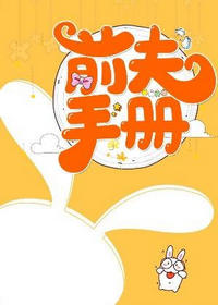 前夫手册by狐哉