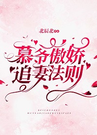 慕爷傲娇追妻法则(北辰北)