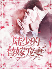 陆少的替嫁宠妻(豪门)