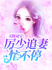 天降双宝厉少追妻忙不停