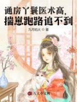 通房丫鬟医术高，揣崽跑路追不到
