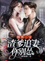 腹黑三宝：渣爹追妻你别怂小说阅读