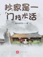 抄家是一门技术活小说阅读