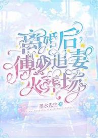 离婚后，傅少追妻火葬场小说阅读