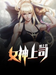 女神上司缠上我陈林王岚