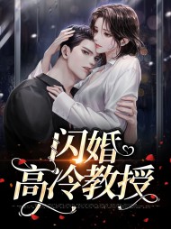 闪婚高冷教授(现言)