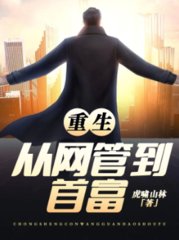 重生从网管到首富虎啸山林著