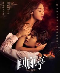 电视剧回廊亭原著(东野圭吾)