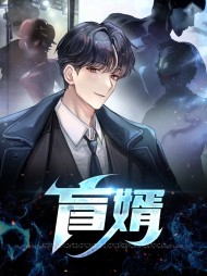 盲婿单铁关沈冰蝶