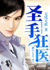 圣手狂医小说阅读