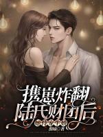携崽炸翻陆氏财团后，她恃宠生娇小说阅读